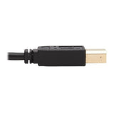 Eaton Tripp Lite P784-006-U DVI KVM Wire