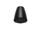 Bose Professional 841168-0120 DesignMax 