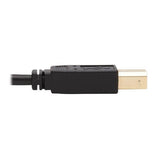 Eaton Tripp Lite P783-010-U DP KVM Cable