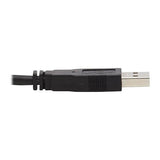 Eaton Tripp Lite P783-006 6' DisplayPort