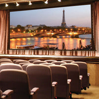 Draper 114616CB Paragon V Electric Projection Screen, CineFlex CH1200V Surface, 16:10, 234"