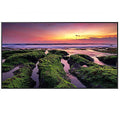 Samsung QB55B Commercial 55" 4K UHD LED LCD Display