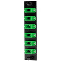 Hubbell FSPMTPGN6 Fiber Optic Patch Panel