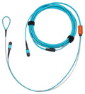 Belden FM3MMB108M5 Connector Cables, FMT