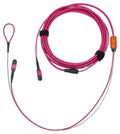 Belden FM4MMB1077MPMEE Fiber Optic Cable