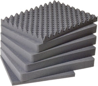 DSI 1620-400-000 Replacement foam set for the 1620 Case