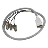 AccelTex ATS-00019 100 Series 4 Port DART to RPTNC Bulkhead Jack 10 in Cable Assembly