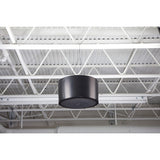 Bose Professional 30099 Acoustimass Bass Module Pendant Mount Kit (Black)