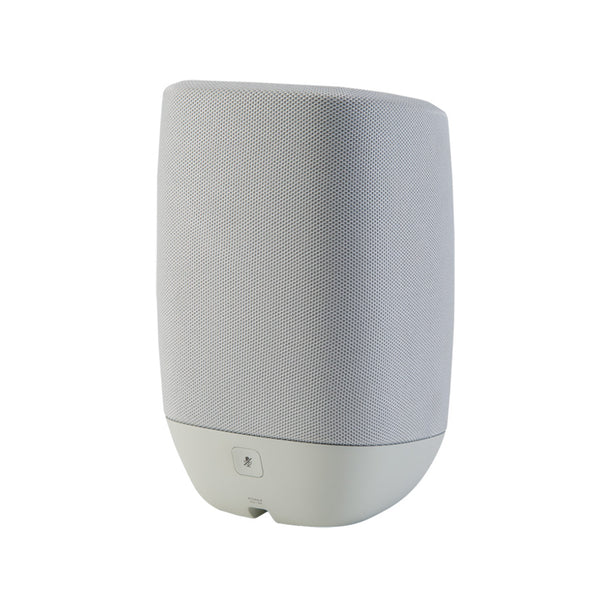 Polk Audio AM9305-A Assist Smart Speaker (Gray)