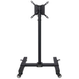 Tripp Lite DMC1342S Mobile TV Stand - Height Adjustable, 13” to 42”