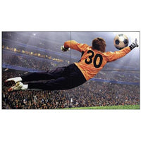 LG 49VL5GMW-4C 49" 2x2 Video Wall Bundle with Crimson Mount