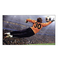 LG 49VL5GAW-4P 49" 2x2 Video Wall Bundle with Peerless Mount